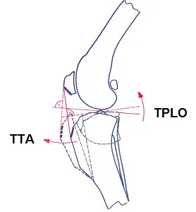 Схематично методики TTA / TPLO